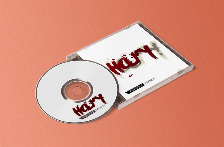 płyty CD i DVD z nadrukiem